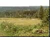 2003_0308_085147AA.jpg